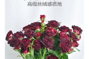 多头玫瑰花语与寓意（揭秘多头玫瑰的15种含义）