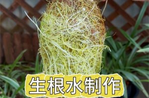 探索自主经济发展的路径（从生根始，共创繁荣未来）
