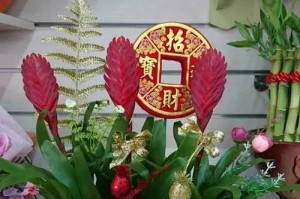过年家里买什么花好（15种花卉推荐，打造温馨年味）