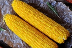 冷冻保存新鲜玉米的技巧（如何保存玉米的新鲜度？）