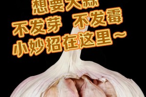 快速让大蒜发芽的技巧（快速让大蒜发芽的技巧）