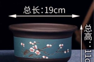 四季海棠栽种（探讨四季海棠在不同盆器中的成长情况及效果）
