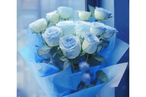 花开花落，花语永存（揭秘花语的由来与演变）