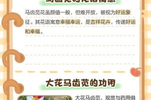 彩色马齿苋花的养殖技巧（打造多彩花海的秘诀）
