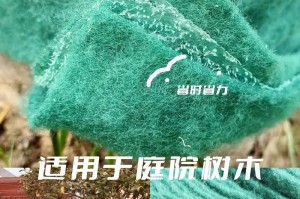 如何保护以树怕冻（在冬季为树木提供保护的关键措施）