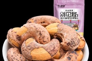腰果的故乡——越南（探寻越南腰果的历史和特色）
