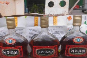 探秘神秘的红矛（了解红矛的物种分类、生长环境和特点）