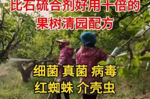 昙花蚧壳虫的防治方法（保护花卉免受昙花蚧壳虫侵害的有效措施）