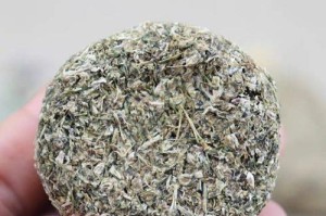 探秘麻麻花的美妙之处（从花朵到花语，了解一朵麻麻花的奥秘）