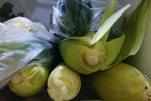 新鲜青椒如何正确冷冻保存？（教你如何保存新鲜青椒，让你的蔬菜不浪费！）
