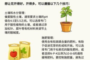 杜鹃花的剪枝指南（时间、方法及关键要点）