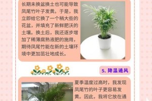 如何科学养护凤尾竹（凤尾竹养护秘籍，让你的家更绿）