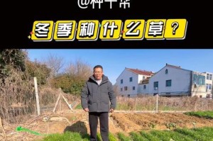 北方黑麦草的种植技巧（合适的播种时间、播种方法、肥料施用等关键因素）