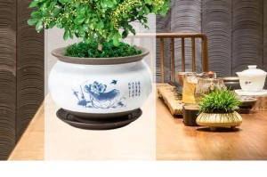 打造米兰的优质土壤（以生态农业为导向的土地改良策略）