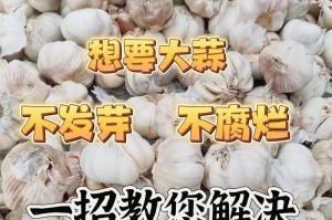 如何保存大蒜？（最佳方法揭秘！）
