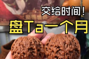 核桃树几年结果实种植多久才结果（核桃树结果期与生长周期）