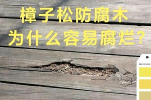 樟子松树皮的应用与价值（探索樟子松树皮的多功能用途和环境保护特性）