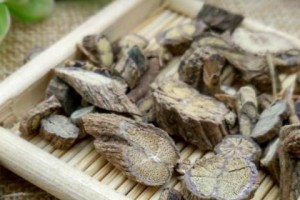 鸡矢藤的神奇功效与作用（探究鸡矢藤的药用价值和保健效果）