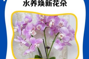 花朵下垂的原因及应对方法（揭秘花朵下垂的奥秘，让您的花园重现生机！）