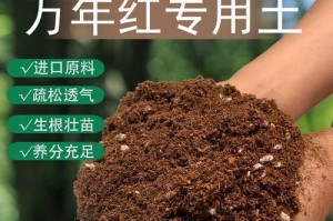 红土花园的种植指南（探寻红土下的花海盛宴）