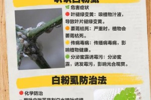 以含笑花叶子上有小虫子怎么办？（有效清除以含笑花叶上的小虫子的方法与技巧）