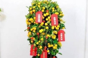 过年家里适合养什么花？（打造温馨年味，让家里充满生机）