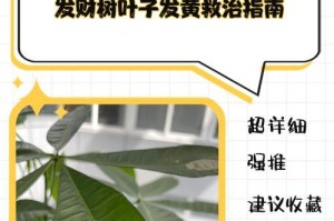 绿宝树叶子出现黄点的原因及解决方法（绿宝树黄点问题分析与应对措施）