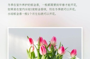 仙鹤草来有毒吗？能否放在室内养？（了解仙鹤草的毒性和适宜养护环境）