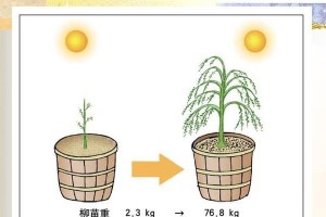蓝矾对植物的作用与应用（探究蓝矾在农业生产中的作用）