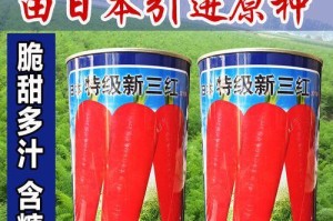 胡萝卜种子的选购、准备和种植技巧（胡萝卜种子的选购、准备和种植技巧）