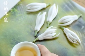 白玉兰花瓣晾干的方法与注意事项（以白玉兰花瓣怎么晾干为主题的详细指南）