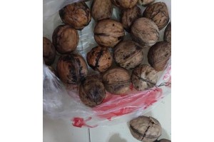 鲜核桃的正确食用方式（鲜核桃能直接食用吗？如何保证健康？）