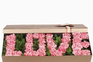 32朵玫瑰的花语解析（了解32朵玫瑰所代表的意义和象征）
