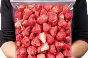 草莓为何会干掉花头？（探究草莓植株生理现象及原因）