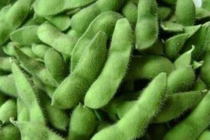 毛豆底肥的施用方法与肥料选择（了解毛豆生长的需求，选择合适的底肥）