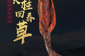 回春草的功效与作用（探索回春草的药用价值与食用方法）