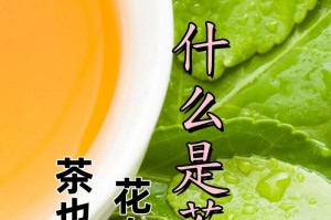 粉色山茶花的花语与代表意义（探寻粉色山茶花背后的意义与象征）