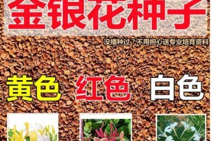 种植金银花种子的技巧与方法（从种子到花朵，打造自家金银花园）