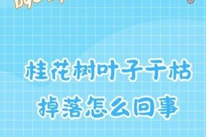 冬天吸财树叶子掉落的处理方法（冬天如何处理吸财树叶子掉落的问题）