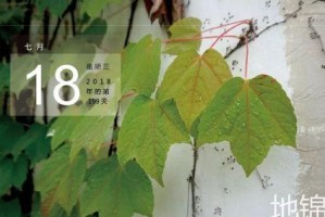 掌握以水鬼蕉种子种植的技巧（从种子到果实，打造丰收的水鬼蕉园）