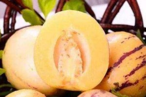 人参果是否需要去皮？——科学解析（皮去了会不会影响营养？你真的知道人参果吗？）