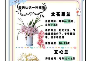 春兰冬天室内养殖的方法与技巧（打造温馨冬日花园，享受春兰的芬芳）