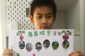 盆栽蒜苗的种植方法（打造家庭的蒜香菜园）