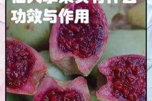 仙人果的功效与作用，全面了解！（让您拥有健康美丽的生活方式）