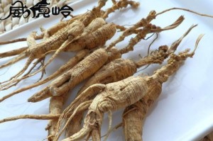 探寻人参的特产之所在（发现人参源头的地理位置和历史背景）