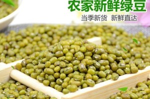 绿豆哪里产的最好？（寻找绿豆的产地，探秘品质原因。）