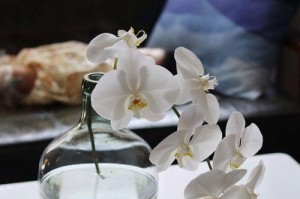如何用正确的水养护花束？（——花束保鲜）
