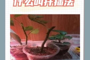 扦插繁殖，让植物生命更有生机（掌握扦插繁殖技巧，让您的植物繁衍生息）