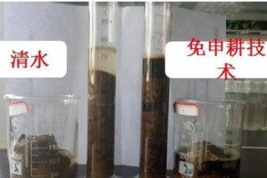海藻酸对植物的作用（揭秘海藻酸是如何影响植物的生长与发育的）