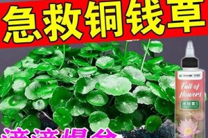 叶子斑点黄（了解叶子斑点黄的成因，掌握科学处理方法，预防病害再次发生）